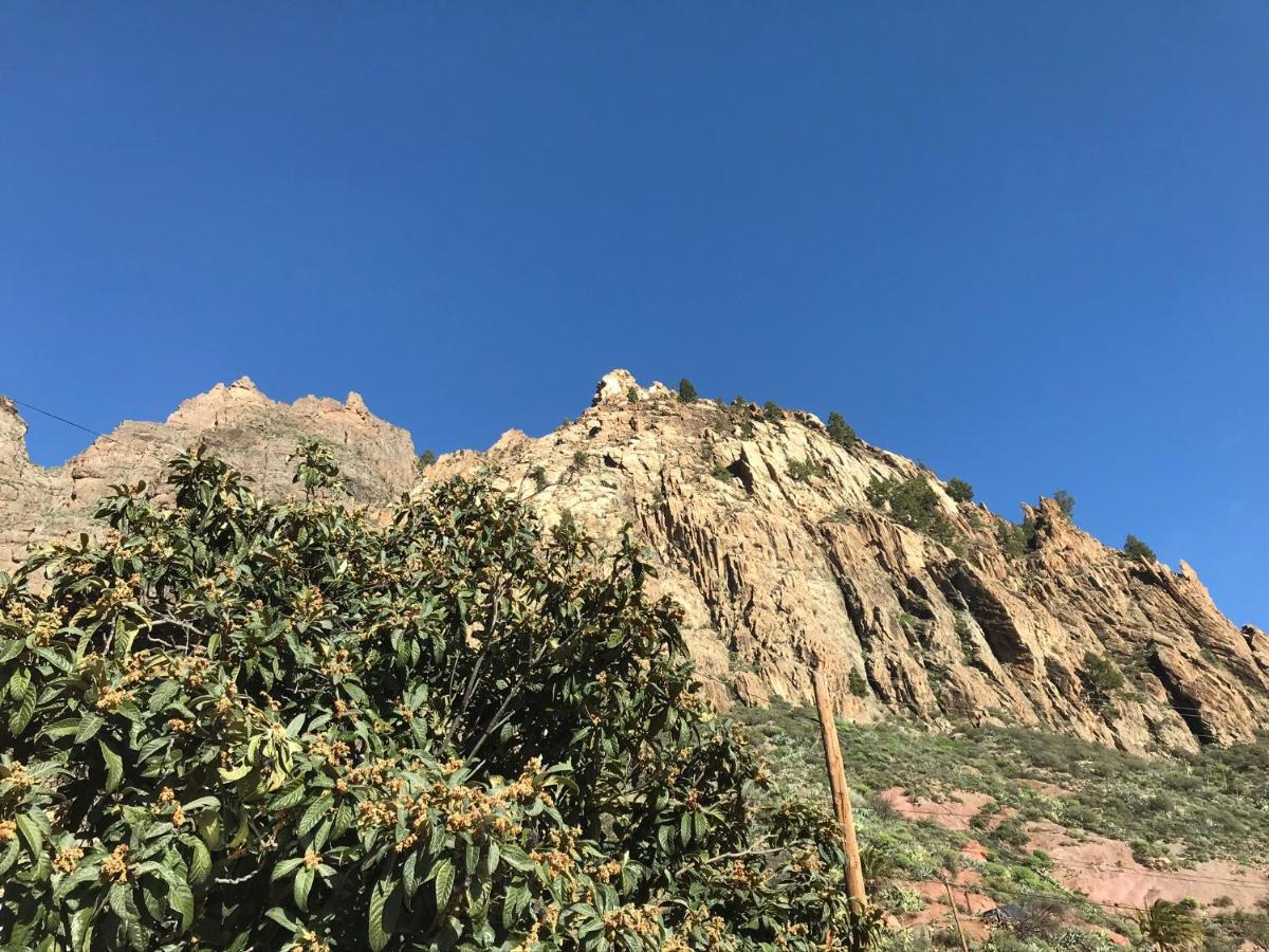 Finca La Sabina Risco Blanco 外观 照片